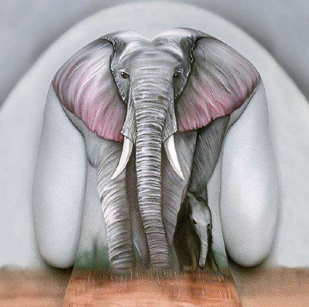 elephant body painting work by craig tracy