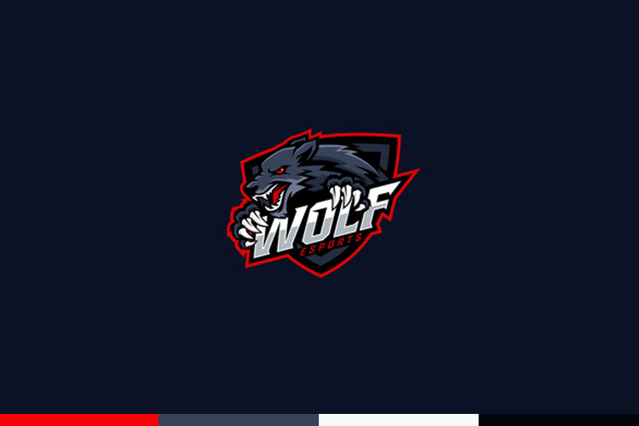 Mascot Logo Design Idea