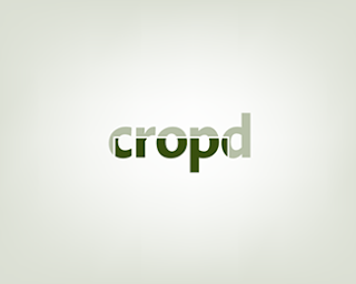 Cropd Typographic Logo Inspiration