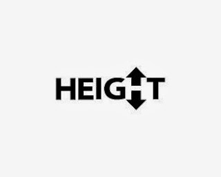 Height Typographic Logo Inspiration