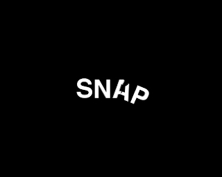 sanp Typographic Logo Inspiration