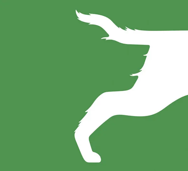 Negative Space Art - Pointed Sense