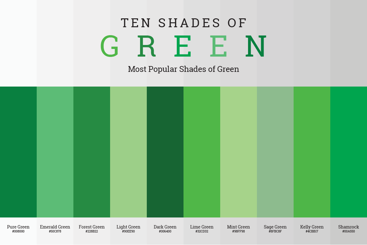 10 Most Popular Shades of Green Color Chart with Names and HEX Codes