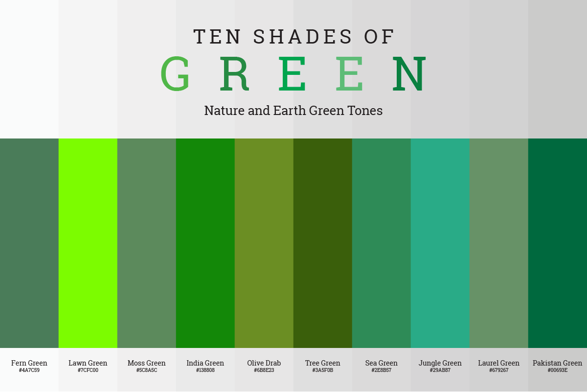 Nature and Earth Green Tones Color Palette with HEX Codes
