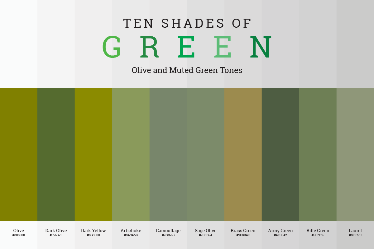Olive and muted color tones including Army and Sage