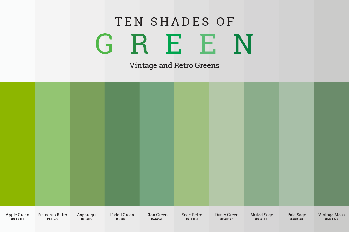Vintage and Retro Green Color Shades for Nostalgic Design