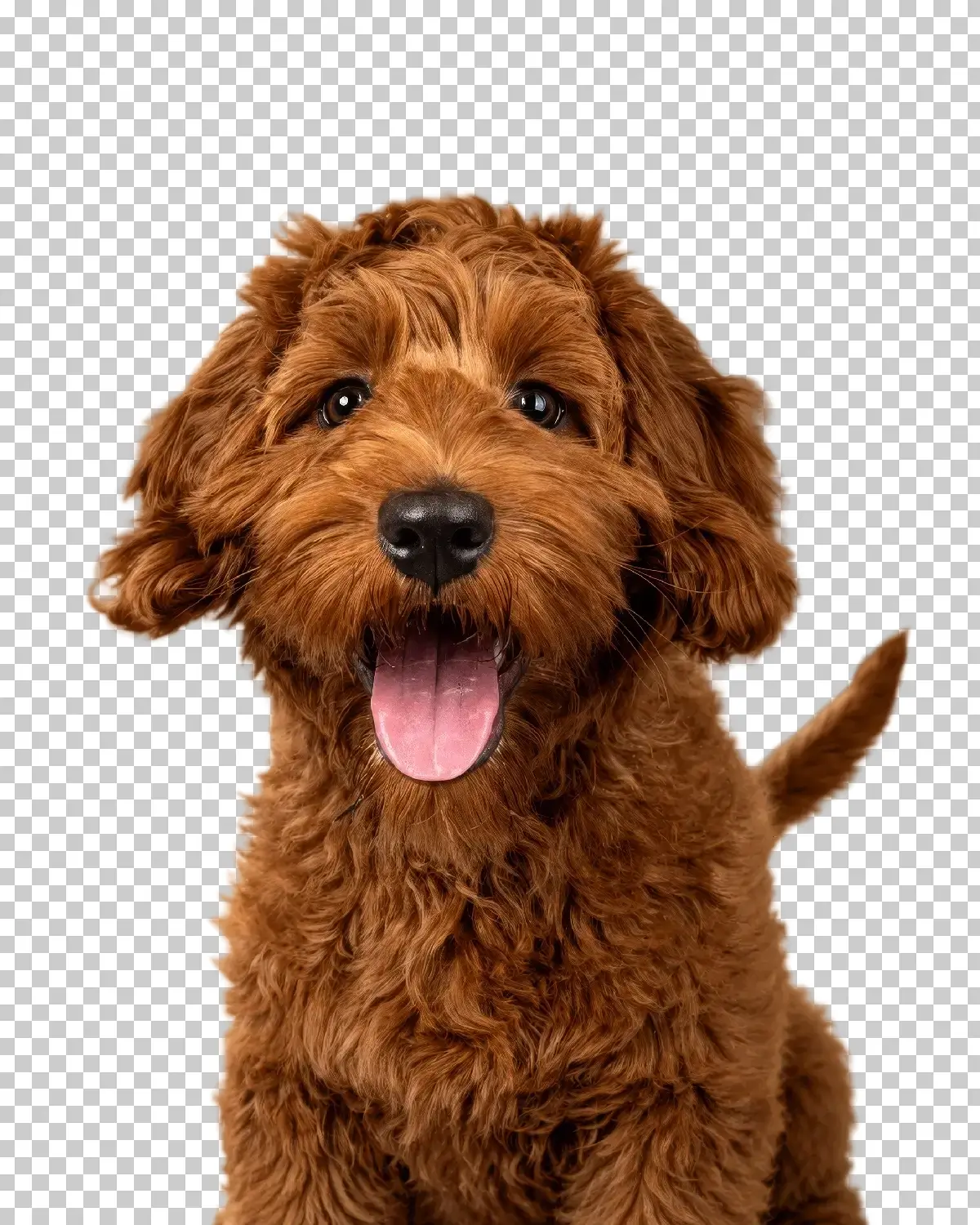 Select Subject tool result in Photoshop